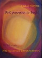 BSRprocessen